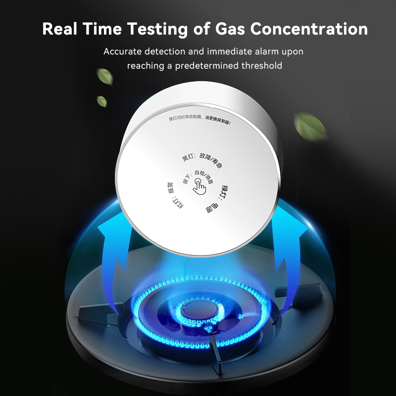 Mian Zigbee Gasdetector Tuya W - Home Security Kitchener recensie en prijs