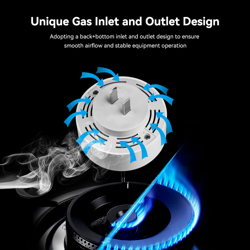 Mian Zigbee Gasdetector Tuya W - Home Security Kitchener recensie en prijs