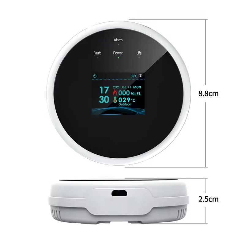 Slimme gaslekdetector met Tuya - Home Security Uk recensie en prijs